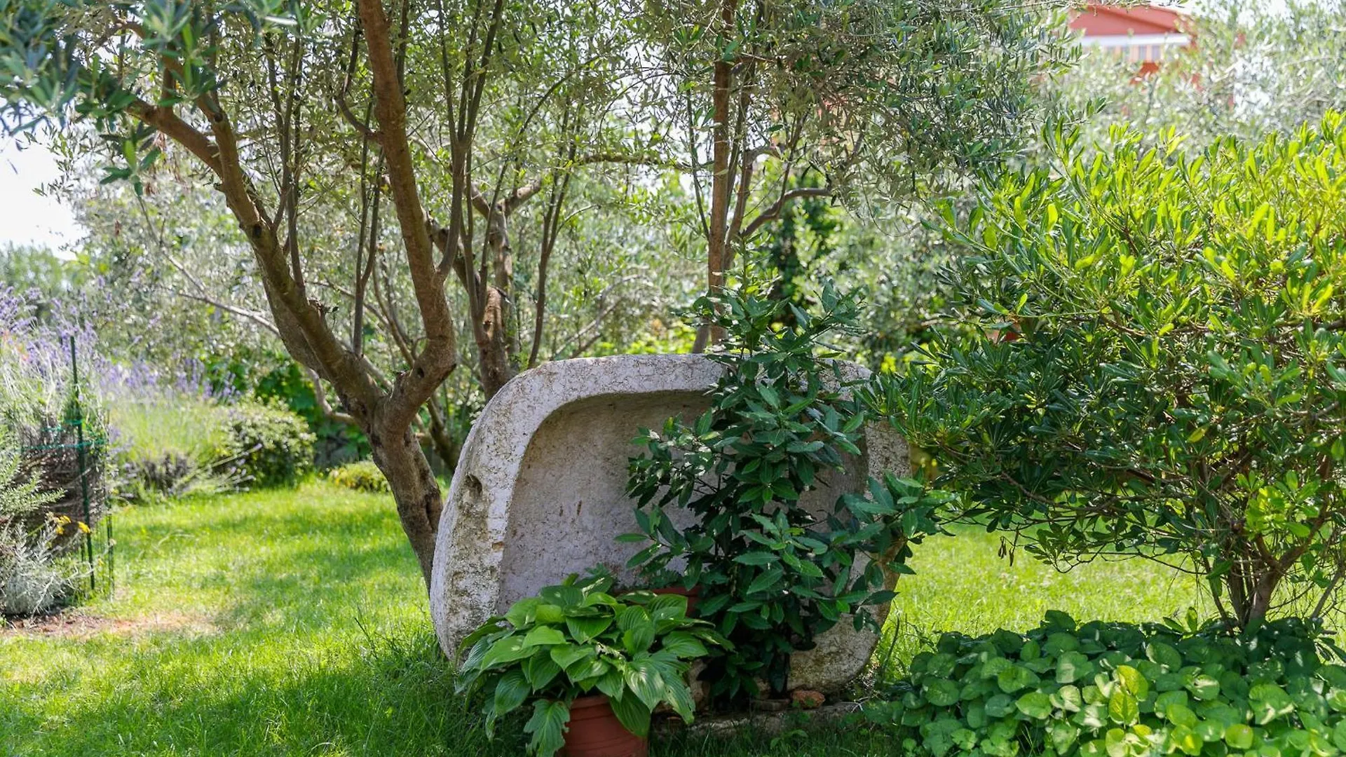 Villa Galovic Brzac